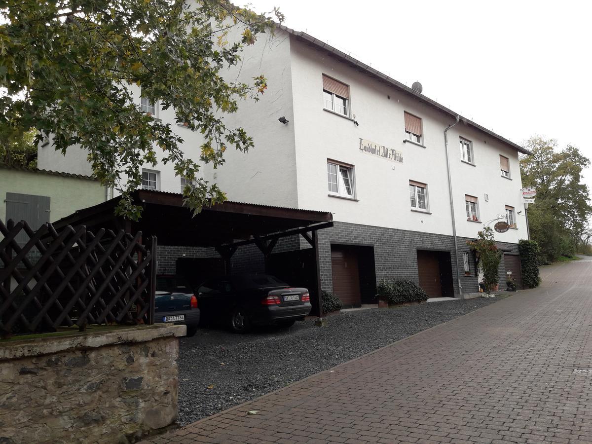 Landhotel Alte Muehle Modautal Экстерьер фото
