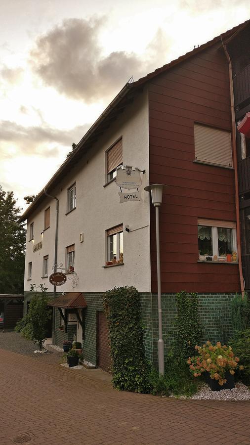 Landhotel Alte Muehle Modautal Экстерьер фото