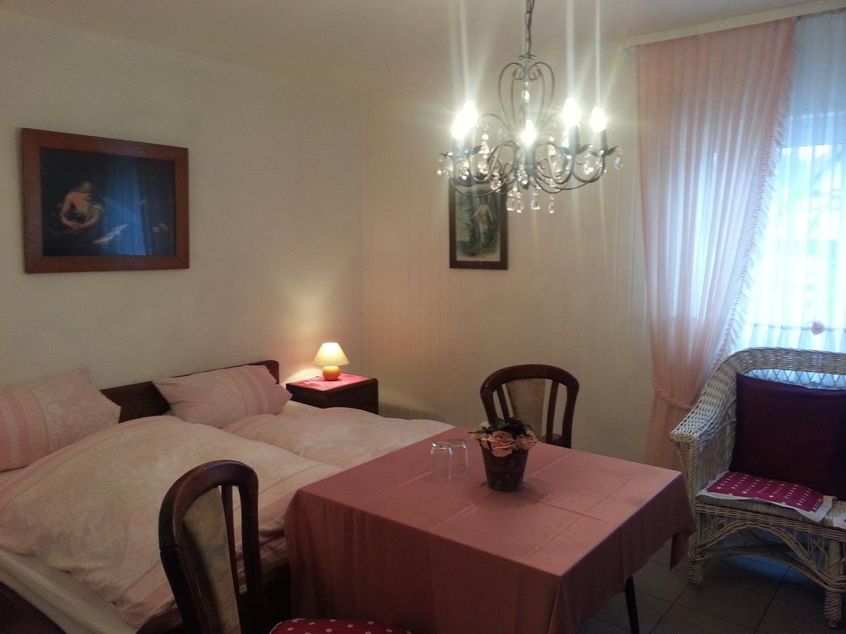 Landhotel Alte Muehle Modautal Экстерьер фото